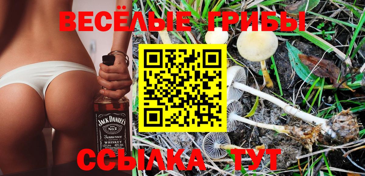 Воскресенск  Псилоцибиновые грибы Psilocybe  Вход с VPN 